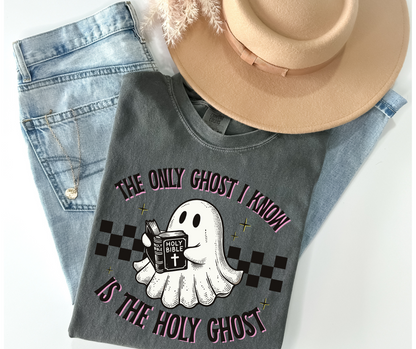 The Only Ghost I know is the Holy Ghost DTF Transfer